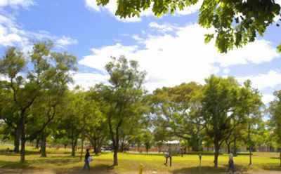 aala park