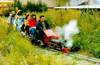 Click for larger image-miniature train